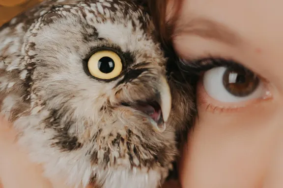 Casino Welcome Bingo Stuðningur